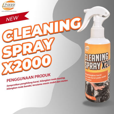 Очисник Cleaning spray X2000 250мл (Уцінка)
